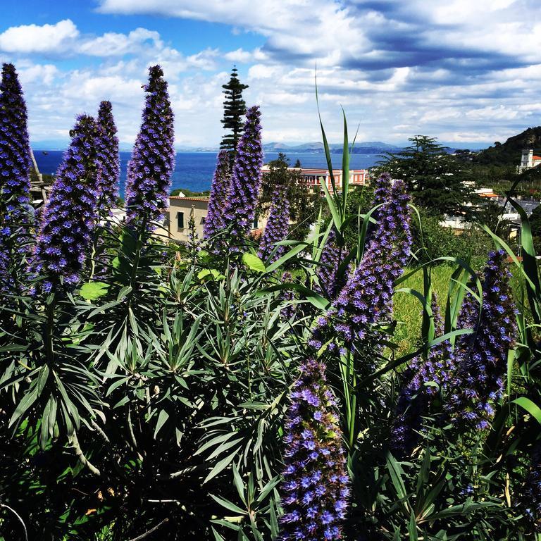 Hotel & Residence Matarese Casamicciola Terme Luaran gambar